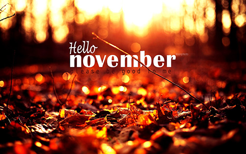 Orange and yellow leaves on the ground, a sun setting behind the trees in the background. Text says Hello November