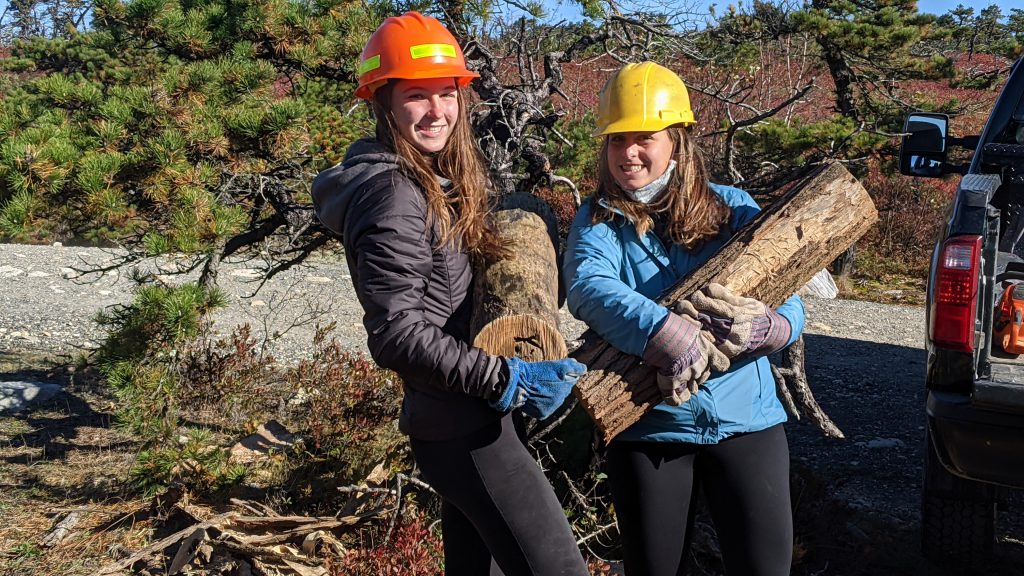 Two young women wearing hardhats carry large logs. They've stopped and smiled.