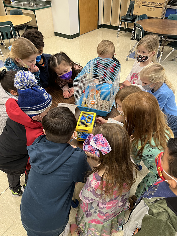 A large roup of elementary students stand around a table that has a small cage with a hamster in it.