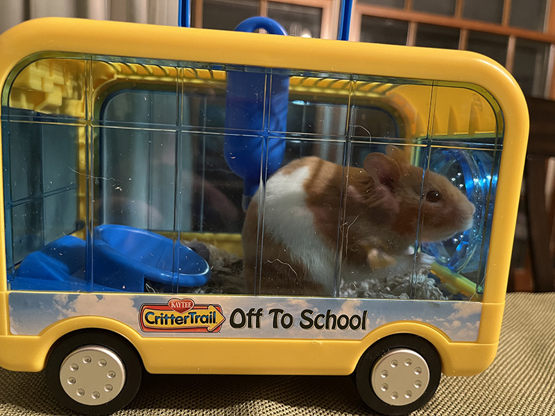 A small yellow cage in the shape of a school bus with a hamster in it.