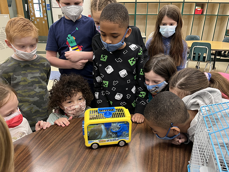 A group of nine elementary students, all wearing masks, look at a small cage with a hamster in it.