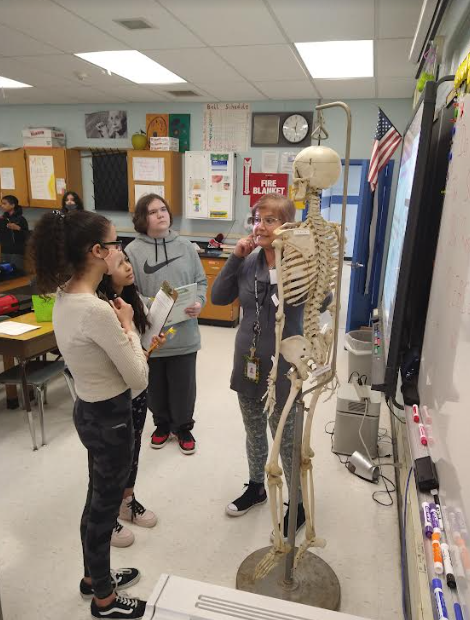 A woman stands with three middle school students. They are looking at a human skeleton.