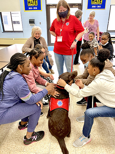 A group of seven elementary girls sitting on facing benches pet a mid-size brown dog. They are all smiling at him. There are adults around them.