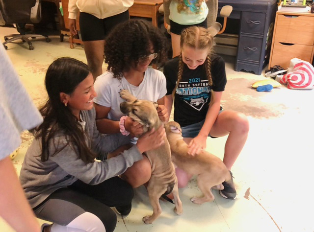 Three middle school students are squatting down playing with a tan puppy.