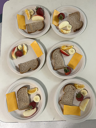 Six plates sit on a table. On each plate are foods that will be used in a composting experiment - including bread, banana, cheese, orange and apple.