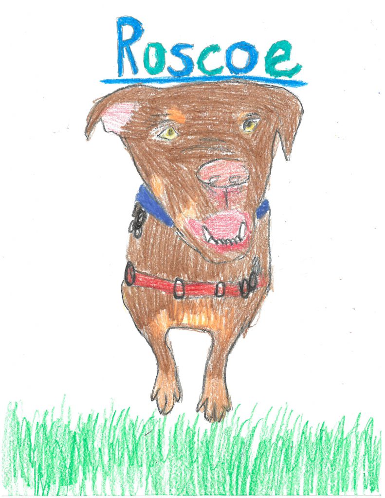 A drawing of a brown dog with a blue collar and red harness. Roscoe is written above it.