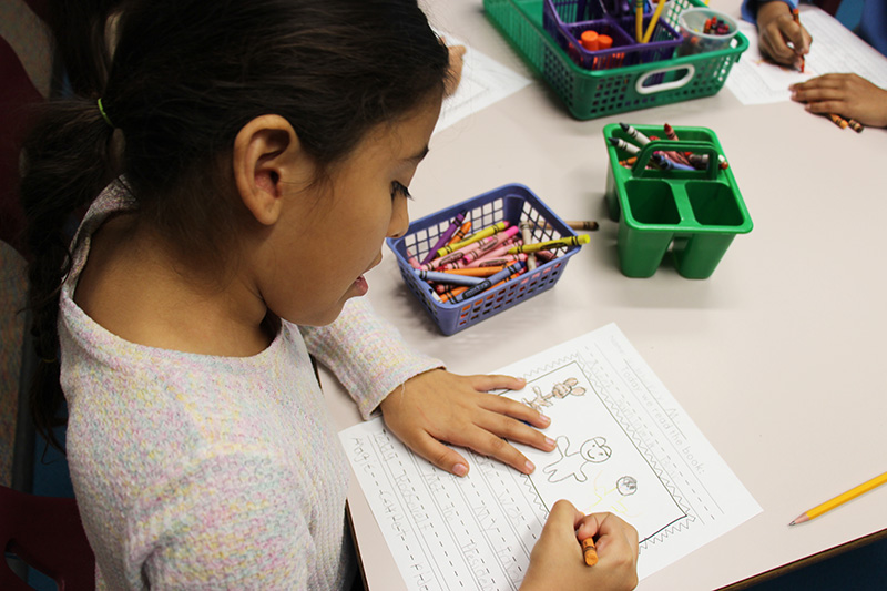 A girl with long dark hair in a ponytail wearing a white shirt, writes on a piece of paper on a desk. She drew a picture of a bear on the paper. On the table is a little basket of crayons.