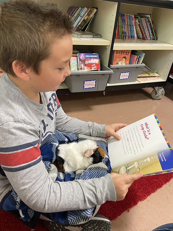 A boy with very short lighter hair, wearing a gray shirt sits with a guinea pig on his lap and a book open.