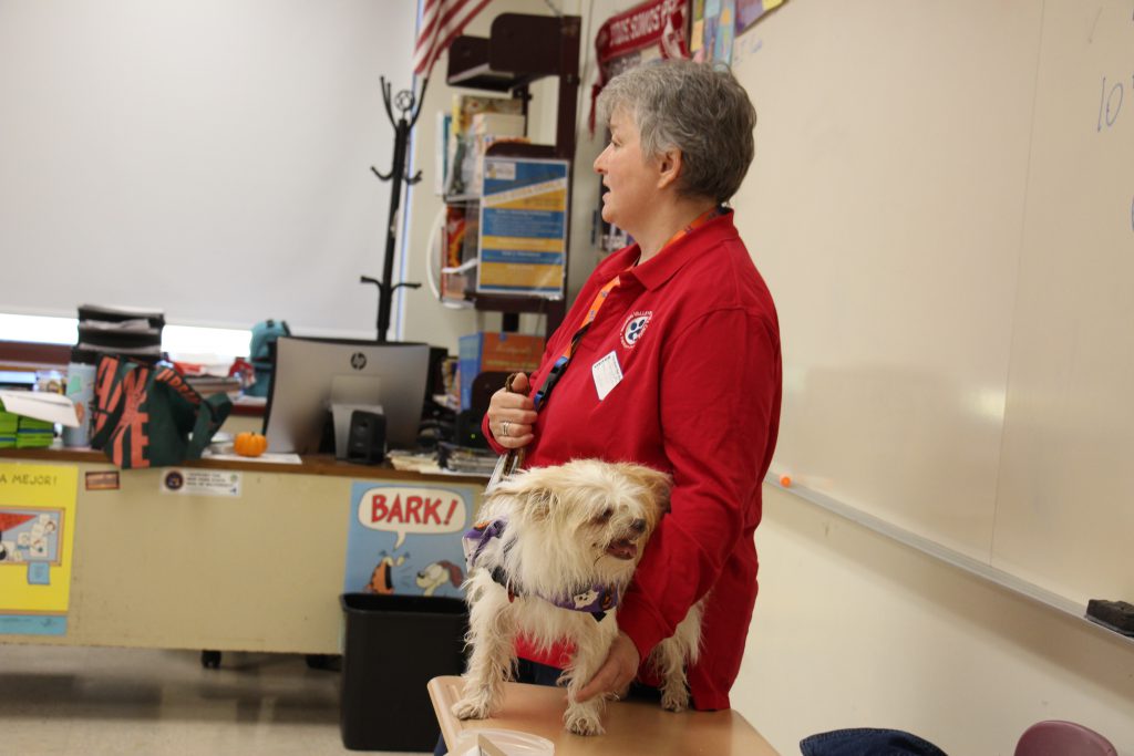 A woman wearing red holds a small white terrier dog and talks to a class.