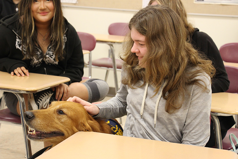 A young woman pets a beautiful dog.