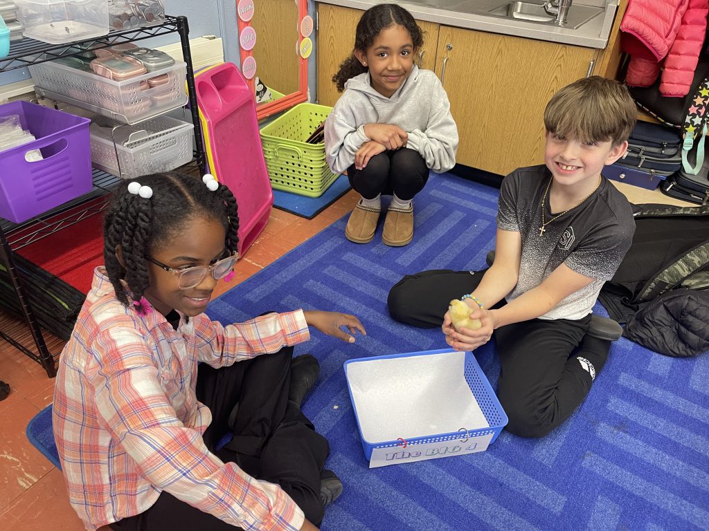 Three fourth grade kids sit on a rug, holding baby chicks.