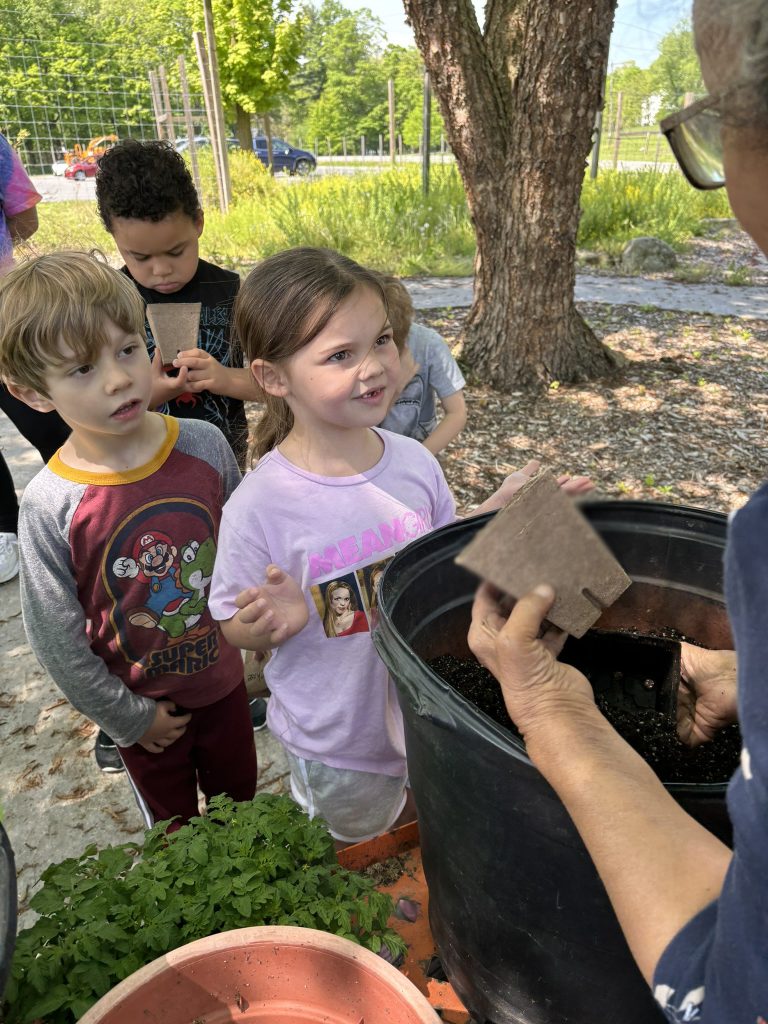 A kindergarten girl with her hair pulled back into a ponytail waits for her little planting container to be filled with dirt.