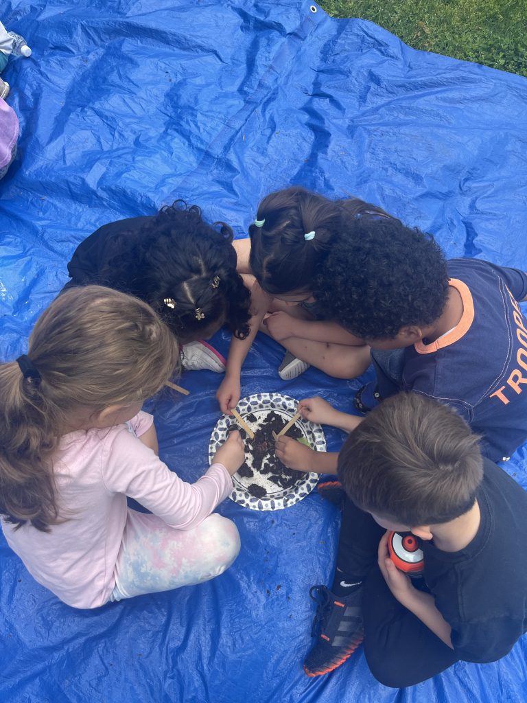 The tops of four kindergarten kids' heads as they play in a plate of dirt looking for worms.