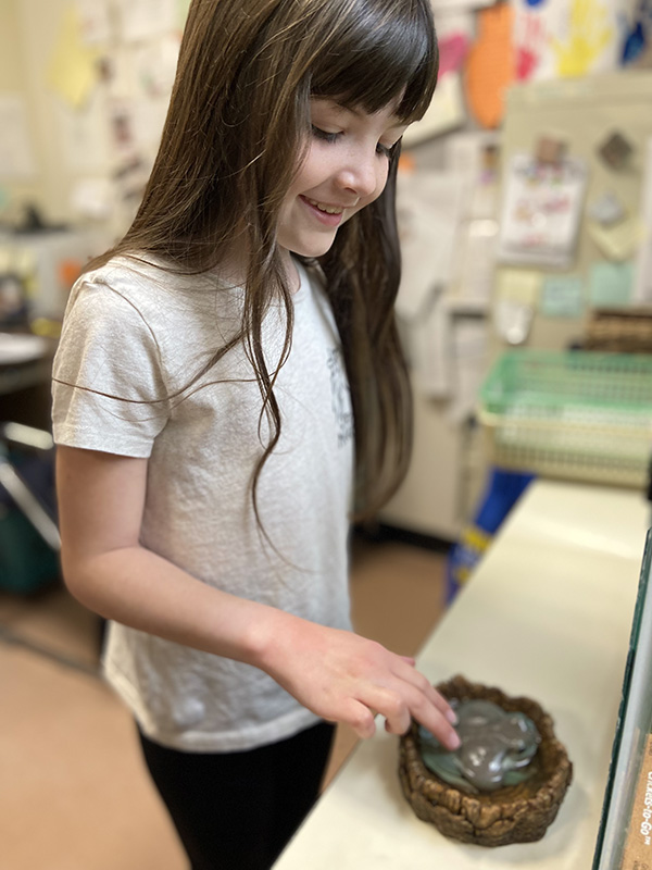 A girl wit long dark hair pets a shiny green frog.