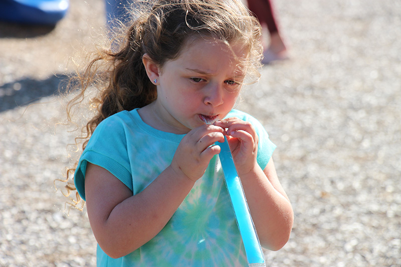 A little girl with long brown hair, wearing a blue shirt, eats a blue popsicle.