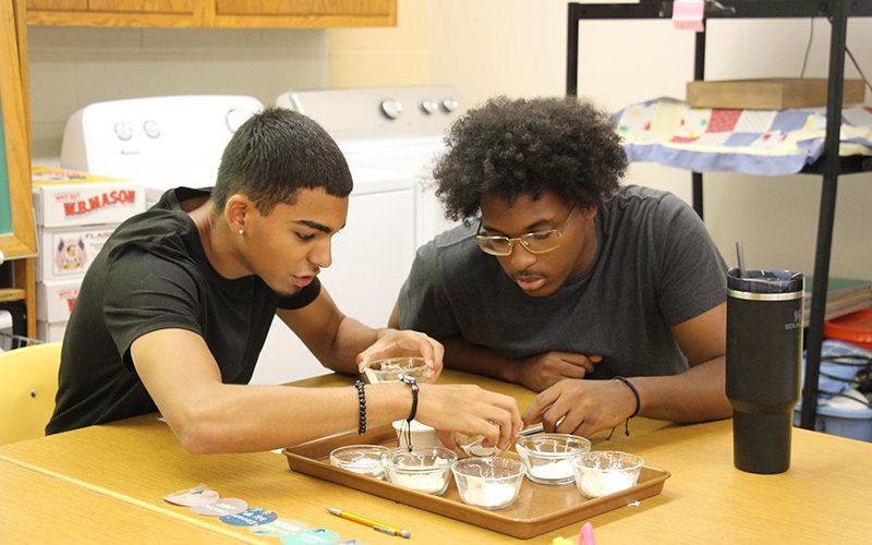 Two high school boys look intently at little bowls with powdery materials in them, trying to identify them in a home and careers class.