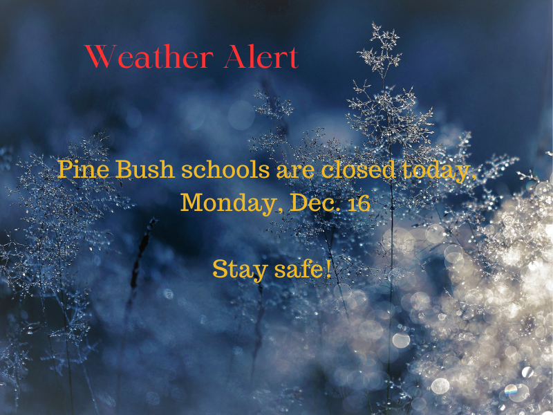 Pine Bush schools are closed Monday, Dec. 16 - Pine Bush Central School ...