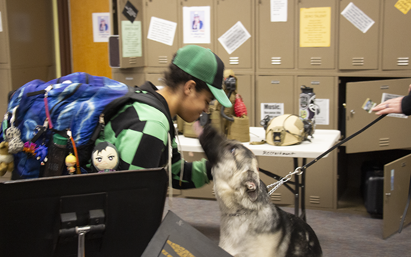 A middle school boy wearing a green baseball cap and a blue backpack looks face-to-face with a big German shepherd dog.