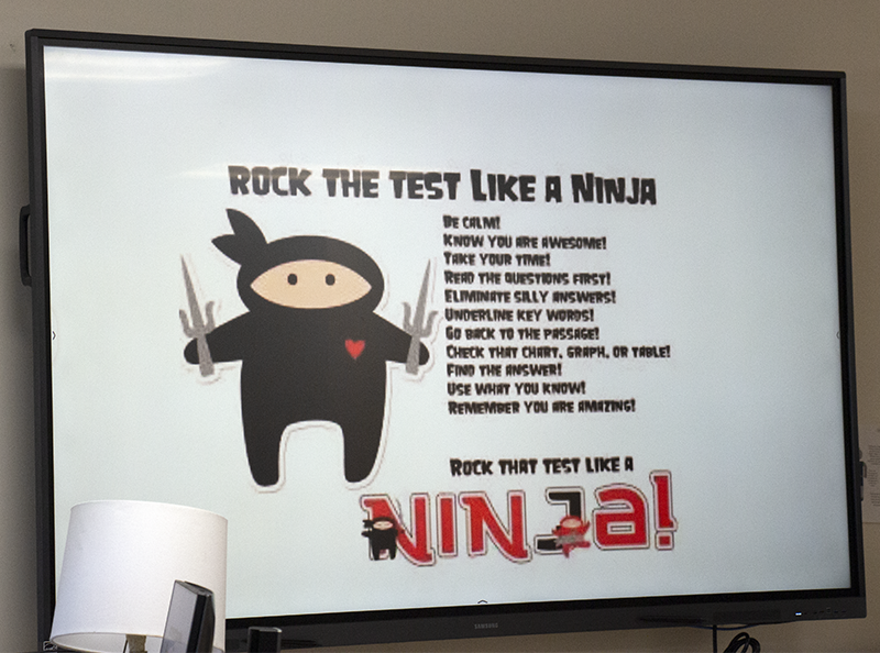 A graphic with a white background. There is a drawing of a ninja. It says Rock the test like a Ninja!