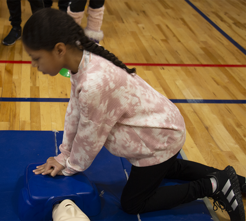 A fifth-grade girl with a long dark braid and a light colored sweatshirt, does CPR to a manikin.